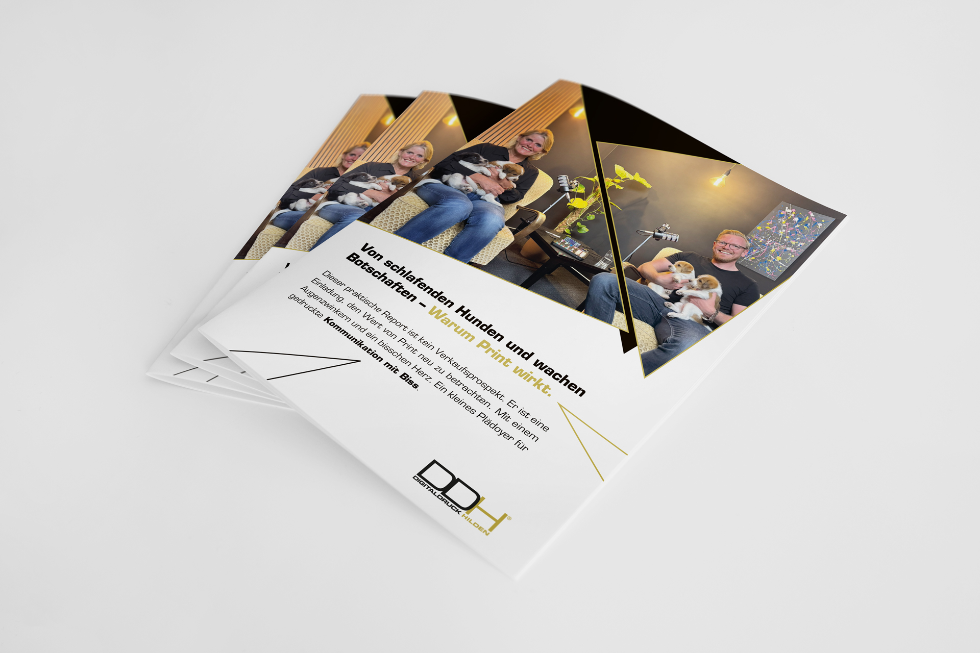 Warum Print - Whitepaper