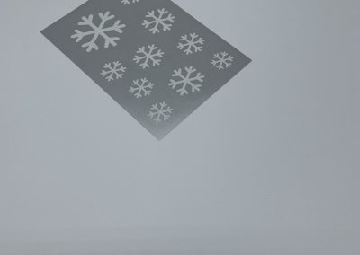 IMG 4348