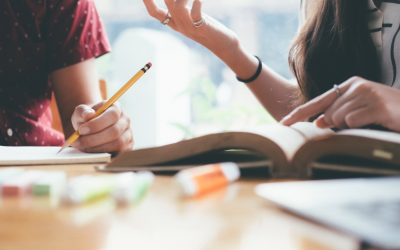 Wenn Wissen greifen soll: Warum Print der Bildung neuen Fokus gibt